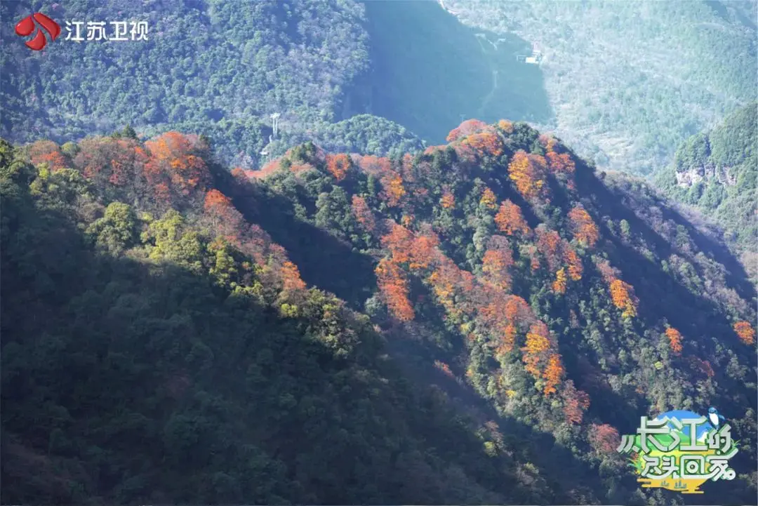 《从长江的尽头回家》重庆站收官 孟非赏山景连连赞叹 冯提莫唱山歌婉转动听