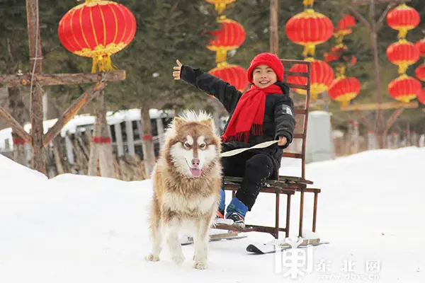 原汁原味原生态 威虎山雪村盛装开园