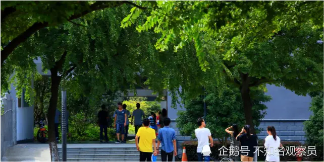 教育厅发布通知，专科生迎来好消息，学生：喜从天降！