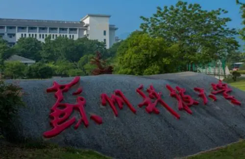 教育厅发布通知，专科生迎来好消息，学生：喜从天降！