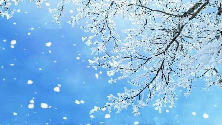 上游•夜雨丨故乡的雪-若愚