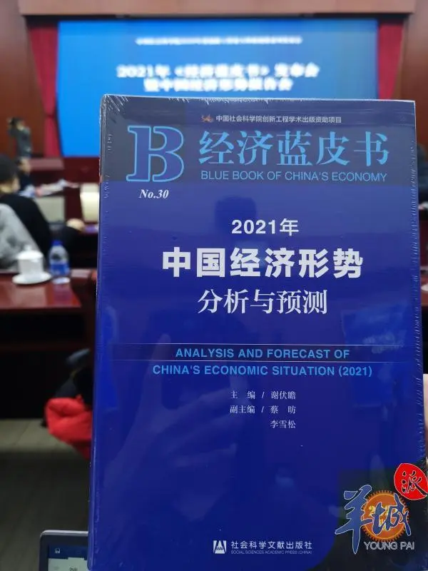 经济蓝皮书：预计今明两年中国经济分别增长2.2％、7.8％左右