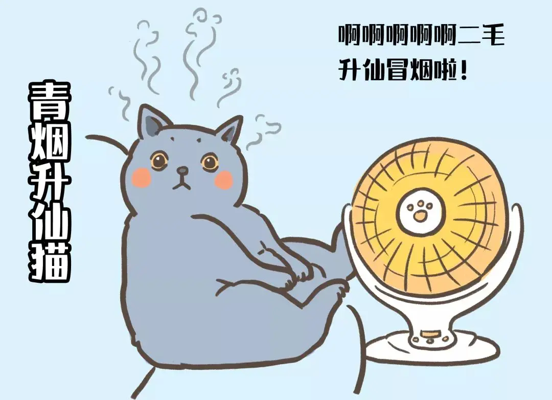 南北方喵星人取暖方式大PK！最后赢的竟然是……