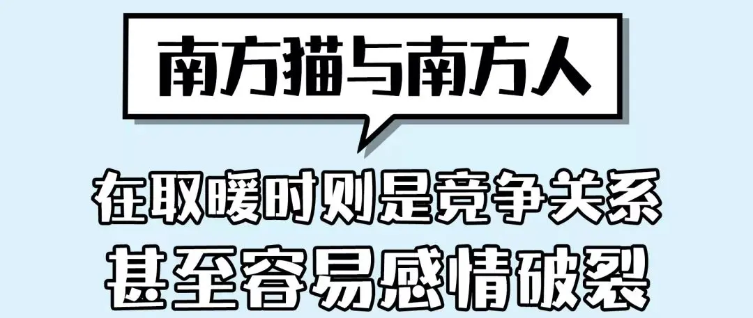 南北方喵星人取暖方式大PK！最后赢的竟然是……