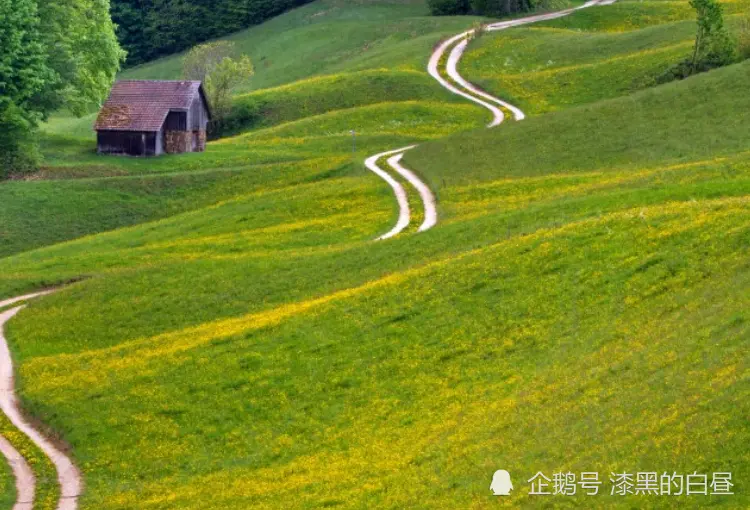 十二月中旬开始，得财神爷光顾，大富特富，横财大奖如雨的生肖