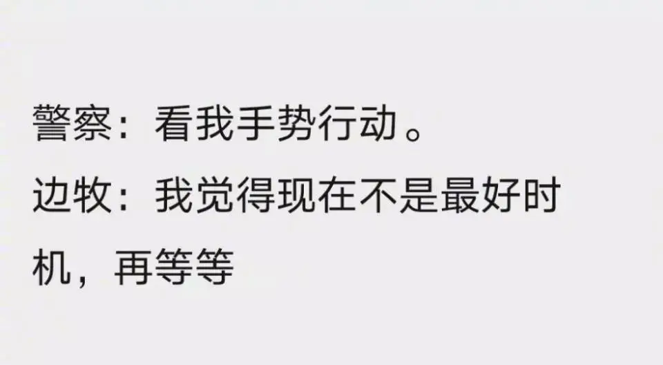 柯基把男友的鞋咬了，男友竟然……和人有关的事是一点儿不干