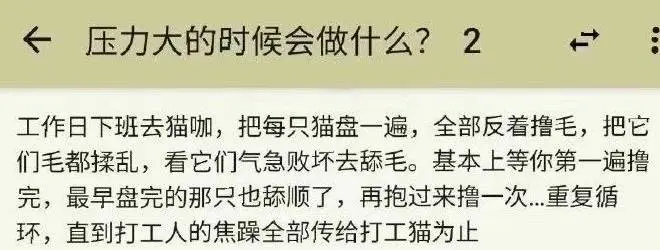 柯基把男友的鞋咬了，男友竟然……和人有关的事是一点儿不干