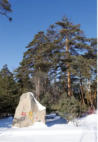 长白山新雪季：这一夜 我陶醉在长白山雪中