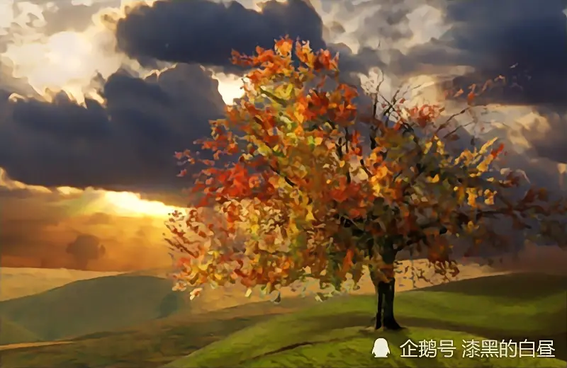 12月下旬开始，横财如雨下，富得流油，多财多福的生肖