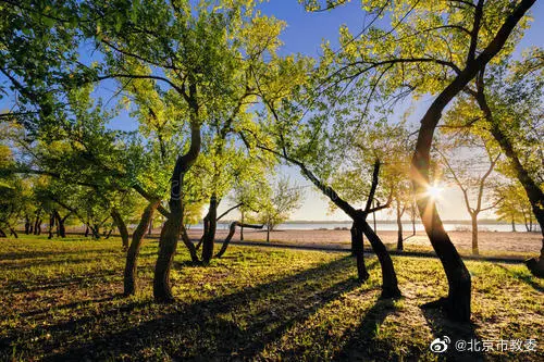 有时你觉得步履沉重，前行缓慢，或许那是在爬上坡路