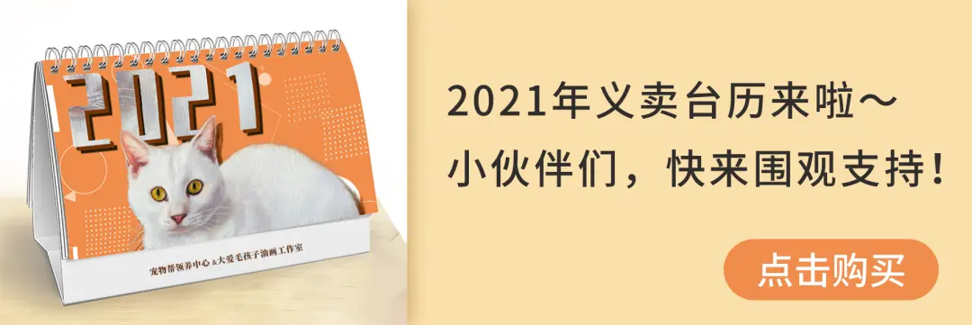 流浪猫妈竟接二连三送来七只奶猫，网友感叹：我这是托儿所吗……