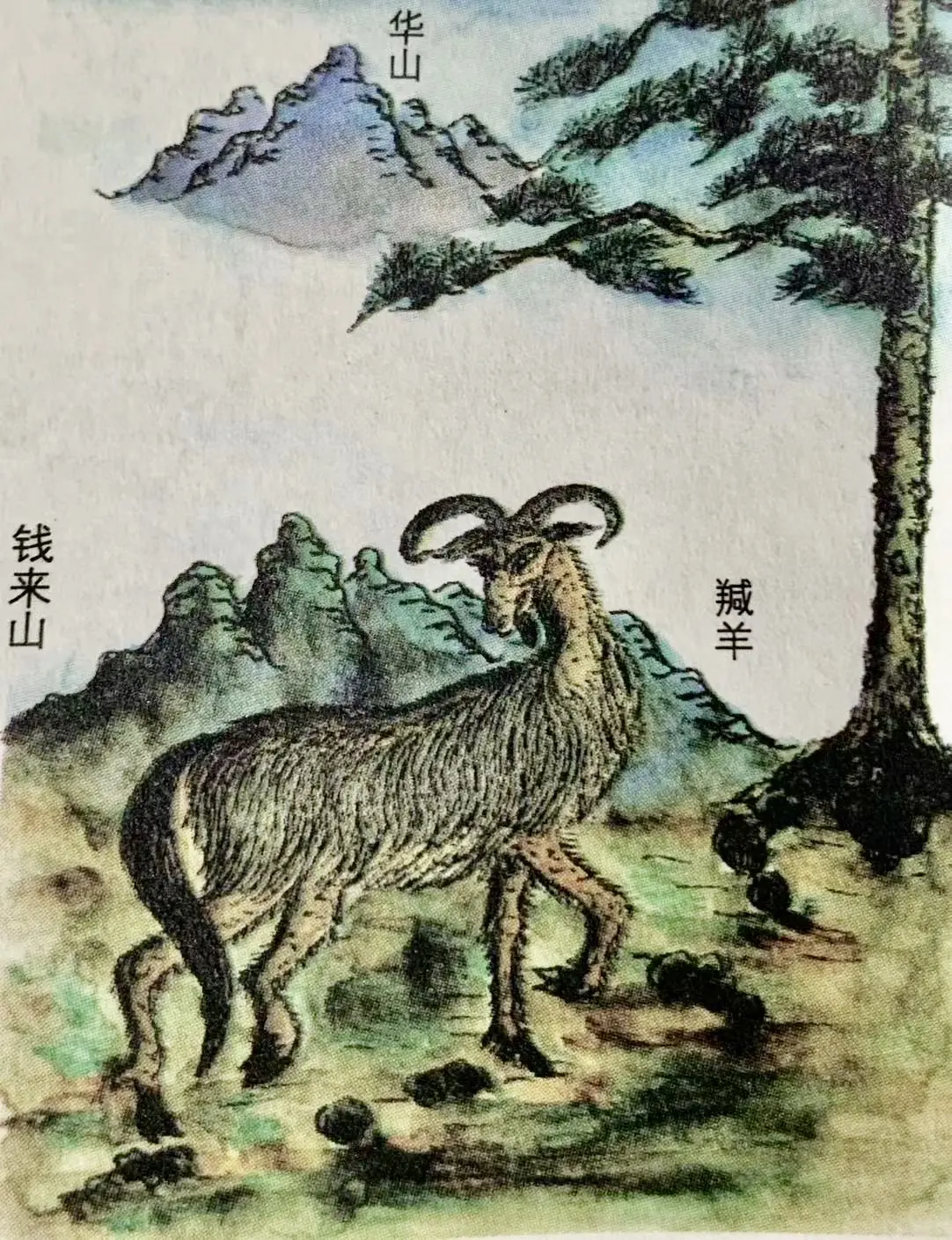 研究《山海经》三十余年，他们重现了4000年前的华夏地貌