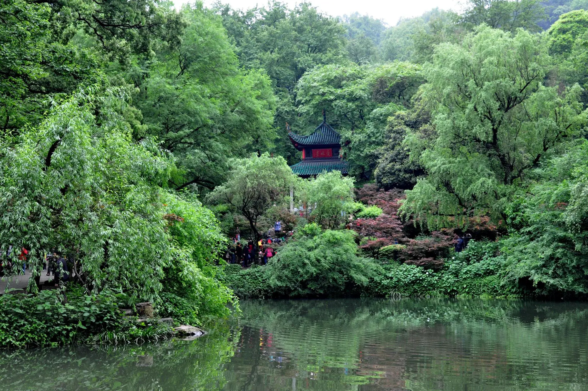 湖南诚意满满的景区，一年四季都是旅游旺季，却坚持不收任何门票