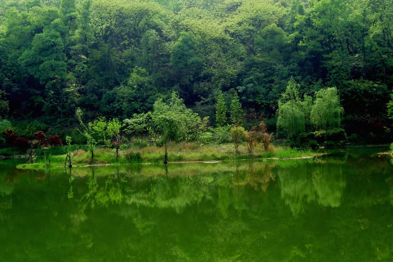 湖南诚意满满的景区，一年四季都是旅游旺季，却坚持不收任何门票