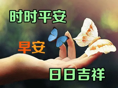 早晨好问候女朋友的短信句子 早上好祝福语图片带彩图