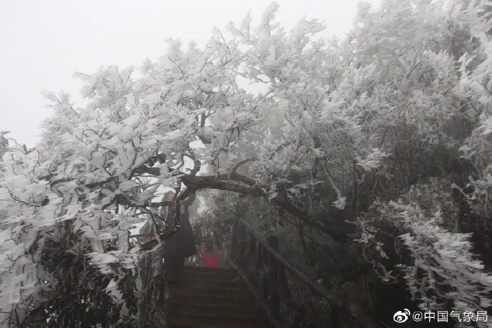 这里的冰挂晶莹剔透