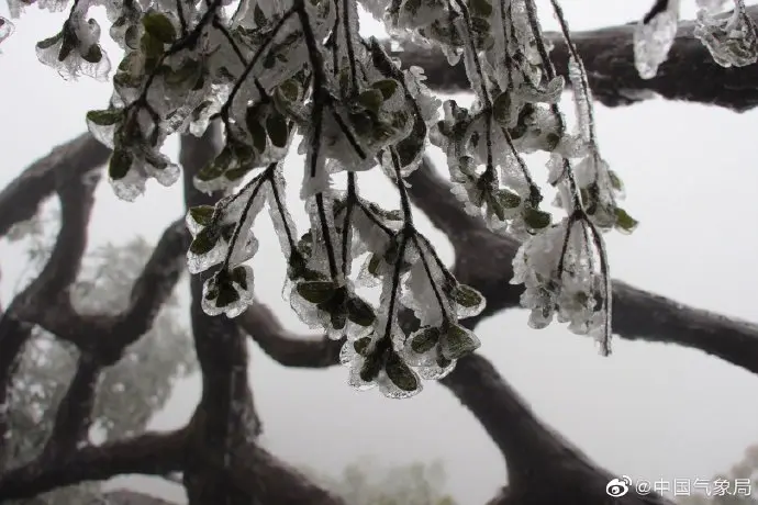 这里的冰挂晶莹剔透