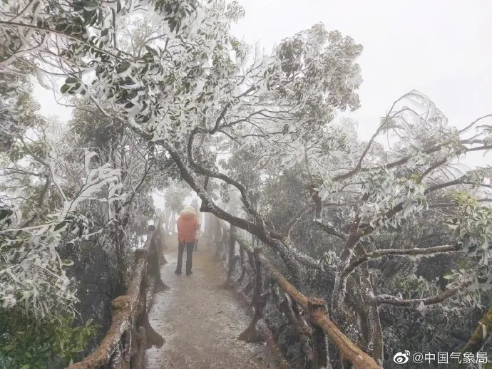 这里的冰挂晶莹剔透