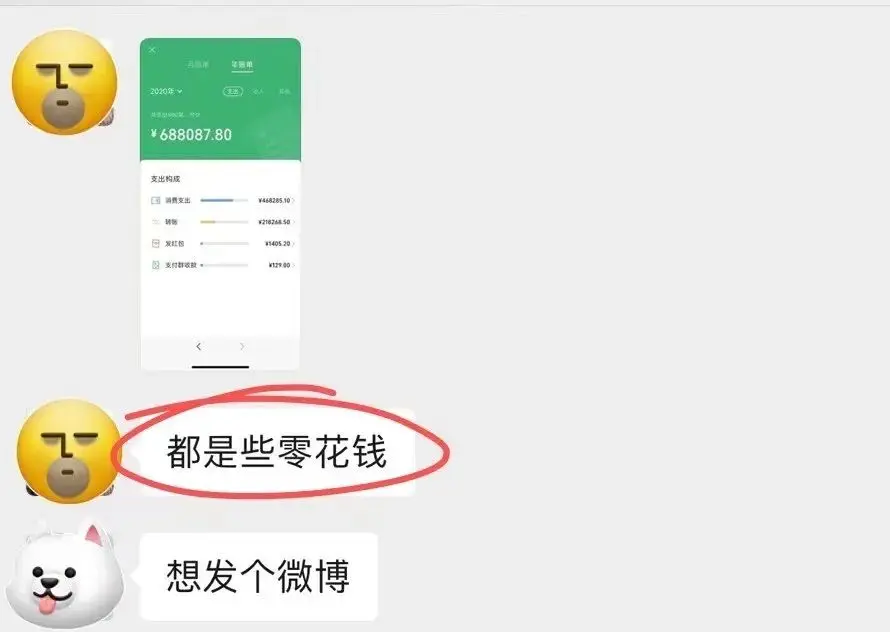 2020微信年度账单上线！网友：我哪来这么多钱？