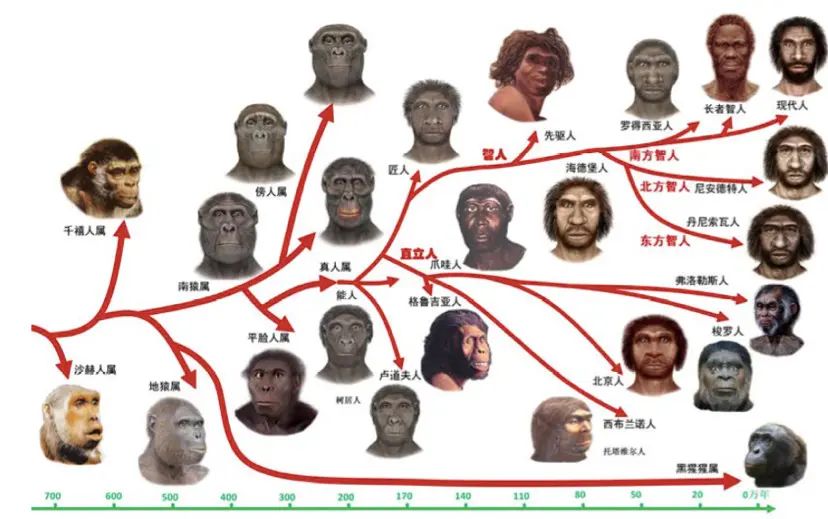 人类的观测行为，参与宇宙的构建？这个理论突破认知