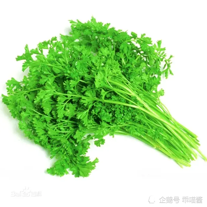 你不知道的生活冷知识～