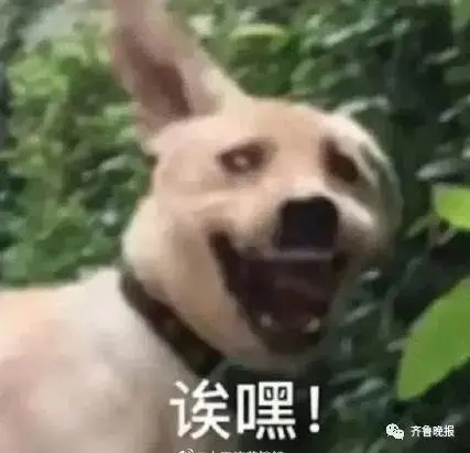 2020微信年度账单上线！网友：我这么有钱吗？