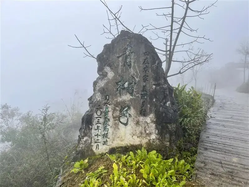 他们不带走茅台酒，纷纷去捡这种鹅卵石，是傻吗？