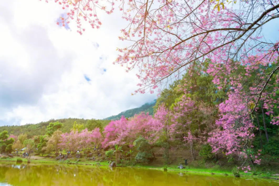 云南又一“胜景”景区走红，号称“自然最美馈赠”，现成打卡圣地