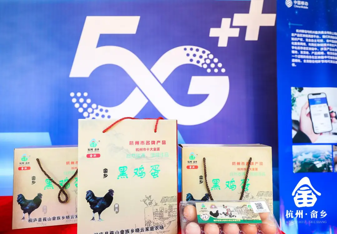 看VR上课，坐“舱”里养鱼，5G数字乡村原来是这样的！