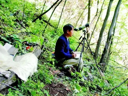 这一辈子，他似乎就干了一件事——认猴