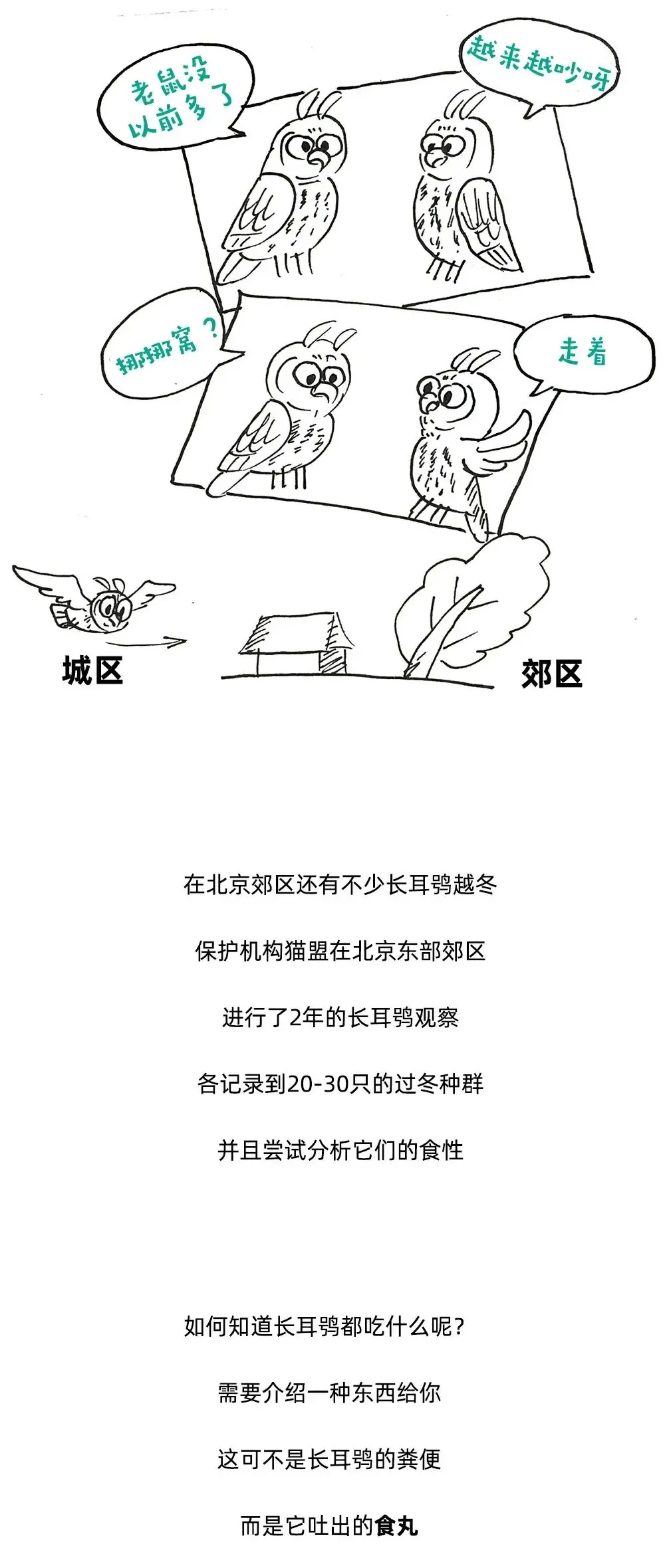 猫头鹰每扭一次头，就会有4789个人被……