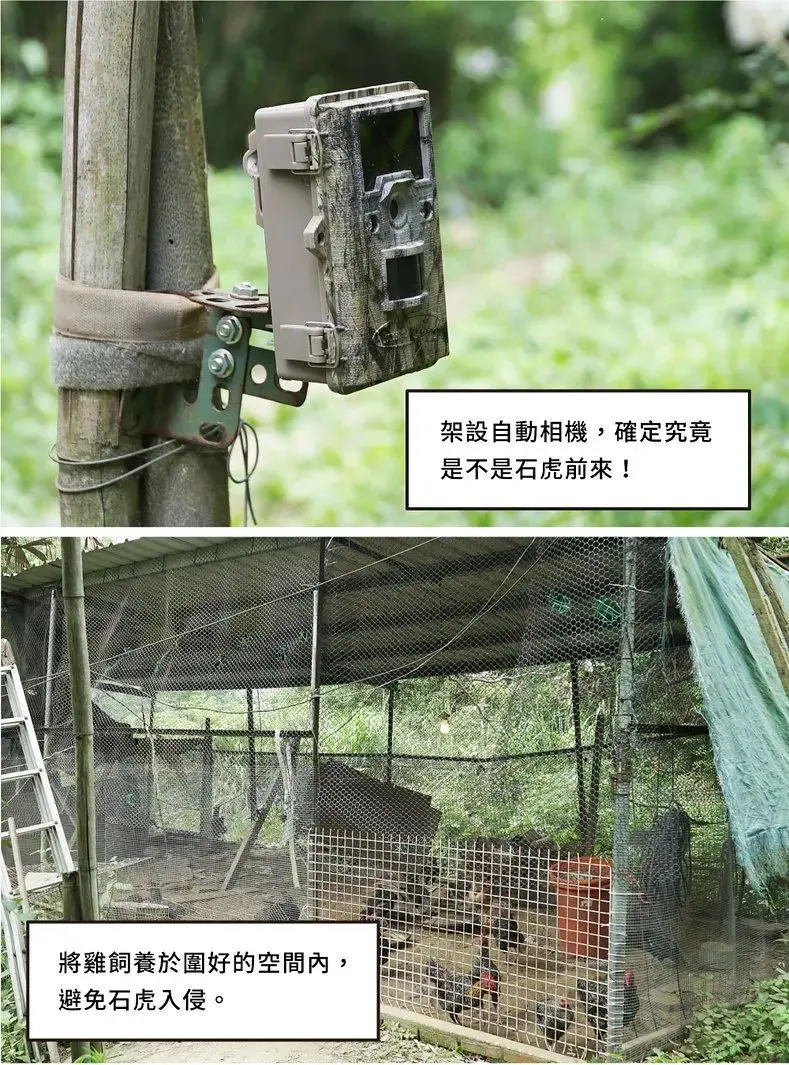 我小猫猫不就吃了你60只鸡吗？！还要给钱？！