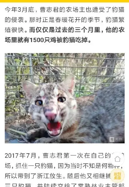 我小猫猫不就吃了你60只鸡吗？！还要给钱？！