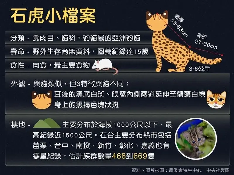 我小猫猫不就吃了你60只鸡吗？！还要给钱？！