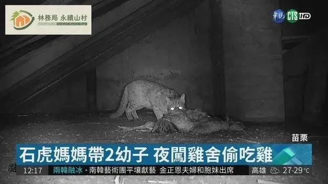 我小猫猫不就吃了你60只鸡吗？！还要给钱？！