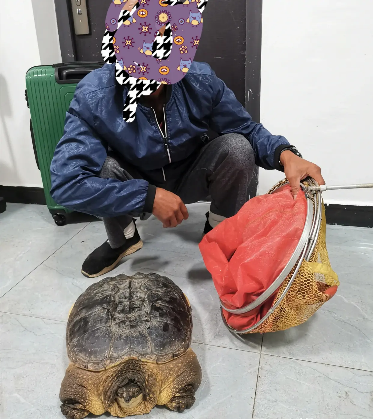 烏龜都要成精了？大爺嘉陵江釣起巨大烏龜，網友卻說：外來貨，不要放