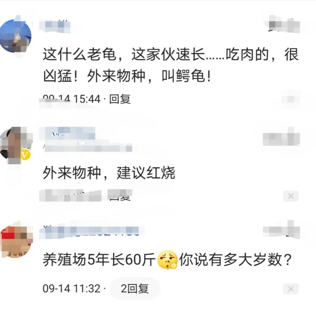 烏龜都要成精了？大爺嘉陵江釣起巨大烏龜，網友卻說：外來貨，不要放