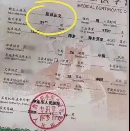 这些娃的名字，哈哈哈哈！你家娃的名字有什么含义？｜精选