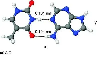 量子力学导致基因突变？科学家们掌握了一些证据