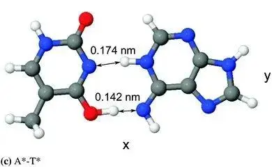 量子力学导致基因突变？科学家们掌握了一些证据