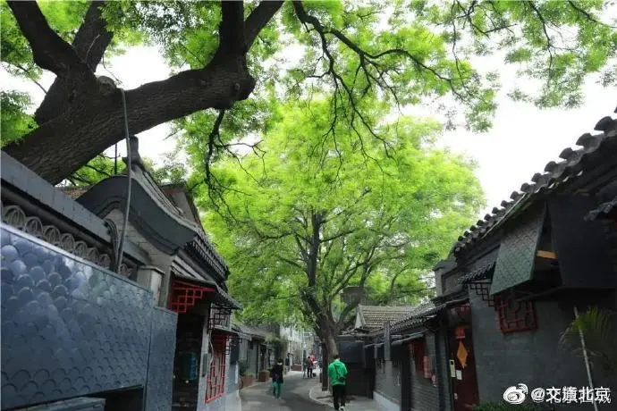 绿色出行 逛京城——李大钊居住过的“红色胡同”