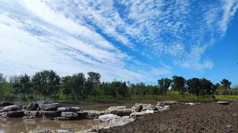 南苑森林湿地公园先行启动区B地块完工 “南囿秋风”历史风貌逐步显现