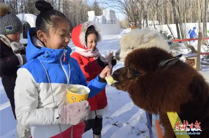 冰雪乐园长白山