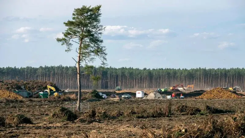 德国法院允许特斯拉砍伐部分森林以建造新工厂