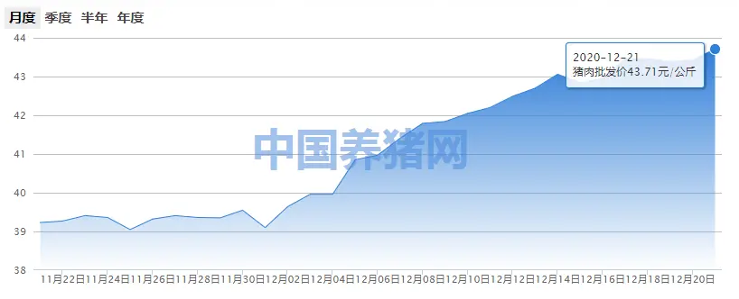 12月21日肉价：43.71元/公斤！——最新猪肉批发价！