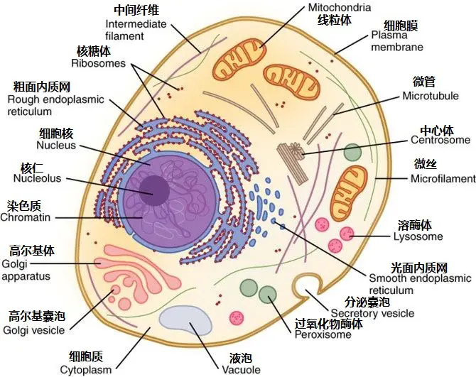 他，企图自杀；他，胆小内向；他们在一起会发生什么？｜科学人