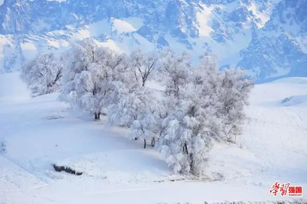 冬至到，雪花飘～