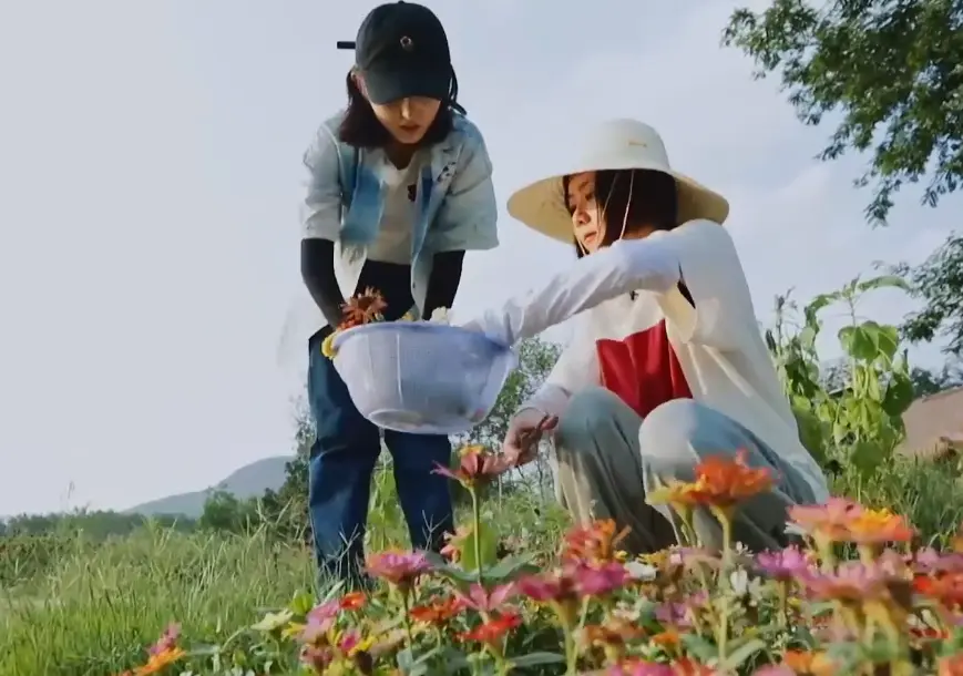 《向往》为何一定要留下张子枫？欧阳娜娜来蘑菇屋那期，我什么都懂了