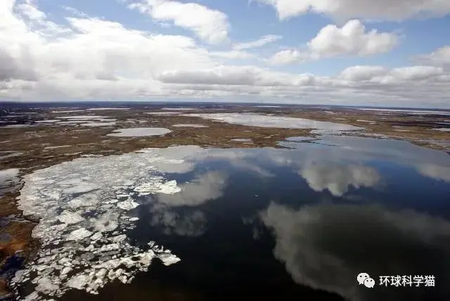 地球扛不住了？6月北极排放5900万吨二氧化碳，古老生物已在复苏