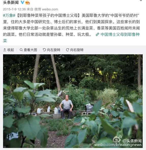 在种菜这件事上，中国人可能真的有点天赋